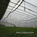 Agricultural vegetable sprinkler irrigation system